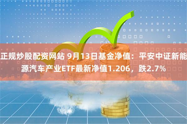 正规炒股配资网站 9月13日基金净值：平安中证新能源汽车产业ETF最新净值1.206，跌2.7%