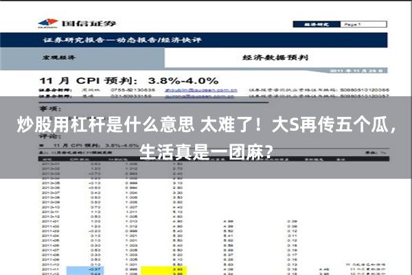 炒股用杠杆是什么意思 太难了！大S再传五个瓜，生活真是一团麻？