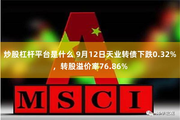 炒股杠杆平台是什么 9月12日天业转债下跌0.32%，转股溢价率76.86%