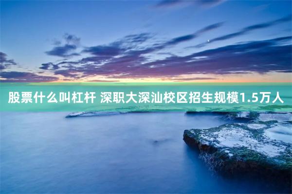 股票什么叫杠杆 深职大深汕校区招生规模1.5万人