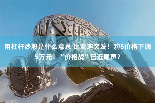 用杠杆炒股是什么意思 比亚迪突发！豹5价格下调5万元！“价格战”已近尾声？