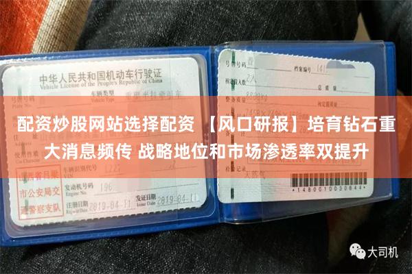 配资炒股网站选择配资 【风口研报】培育钻石重大消息频传 战略地位和市场渗透率双提升